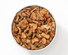 Afbeelding in Gallery-weergave laden, Gemarineerde paddenstoelen cocktail. Cocktail funghi trifolati 810 gr