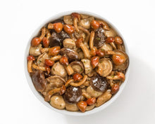 Afbeelding in Gallery-weergave laden, Paddenstoelen fungomix, italiaanse paddenstoelen